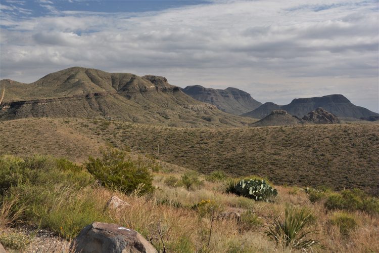 sotol vista